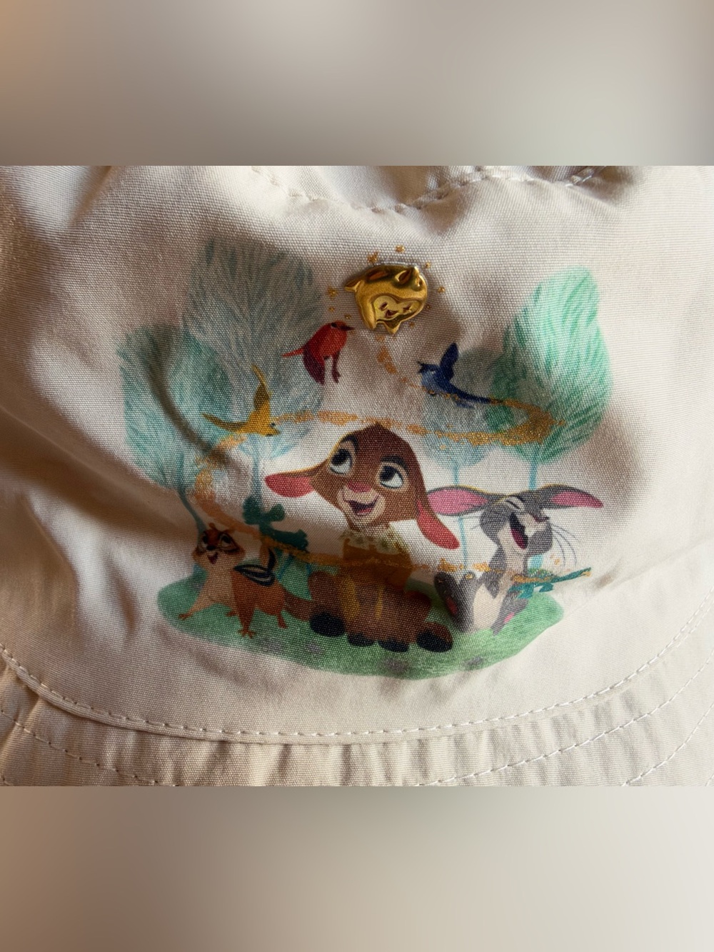 Disney Parks WISH Valentino & Friends Bucket Hat NWT